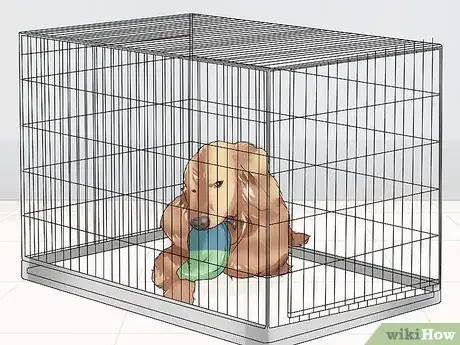 Image titled Live with a Dog with a High Prey Drive Step 3