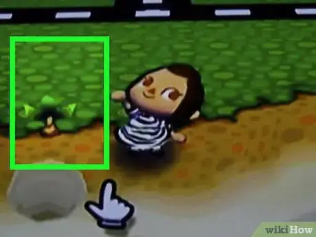 Image titled Plant a Coconut Tree in Animal Crossing_ City Folk Step 10