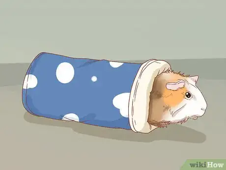 Image titled Guinea Pig Proof Your Home Step 13