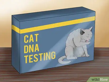 Image titled Identify a Javanese Cat Step 16