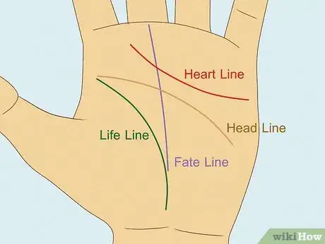 Image titled How Much Does It Cost to Get Your Palm Read Step 6