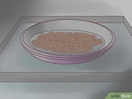 Image titled Grow Alfalfa Sprouts Step 17