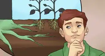 Create Tree Flower Beds