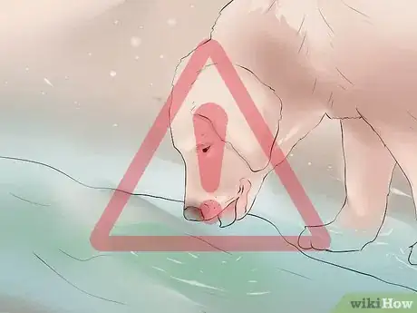 Image titled Avoid Algae Bloom Toxin Step 4