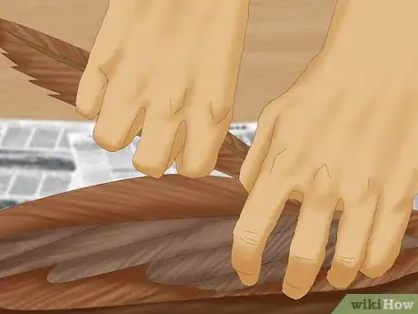 Image titled Pluck a Pheasant Step 3