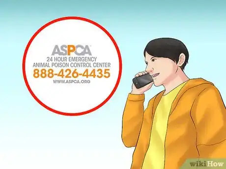 Image titled Avoid Poisoning Your Horse Step 11