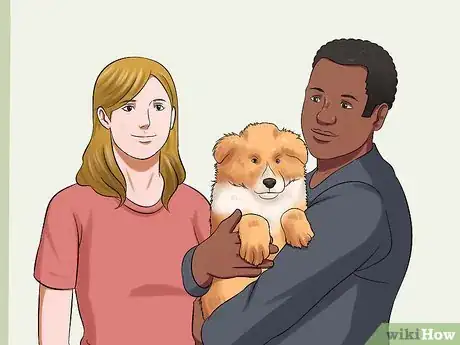 Image titled Care for Shelties Step 22