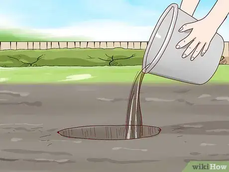 Image titled Grow Rhododendron Step 3