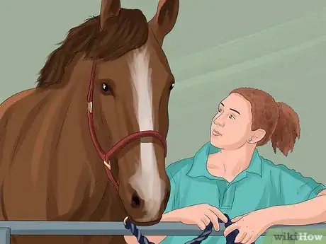 Image titled Get More Confident Around Horses Step 7