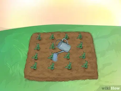 Image titled Grow Ice Plants Step 9