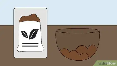 Image titled Care for a Midnight Blue Rose Bush Step 6