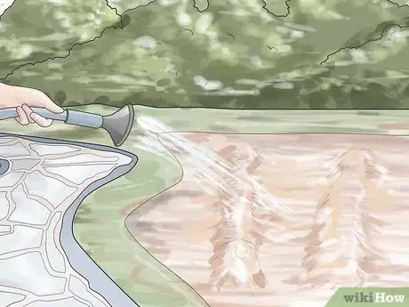 Image titled Grow Tulips Step 7