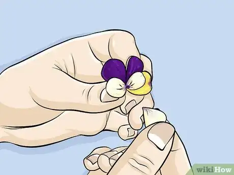 Image titled Eat Heartsease Step 13