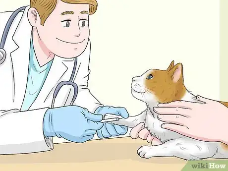 Image titled Deal with Cat Food Allergies Step 2