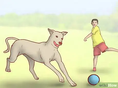 Image titled Educate Yourself As a New Dog Owner Step 6