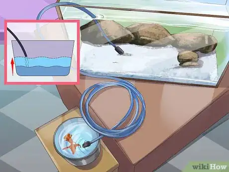 Image titled Start a Saltwater Aquarium Step 33