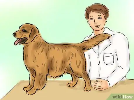 Image titled Calm a Dog With Natural Remedies Step 14