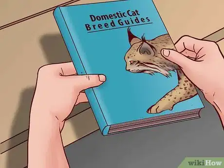 Image titled Identify Feline Species by Fur Step 12