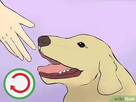 Image titled Prepare Your Household for a New Dog Step 25