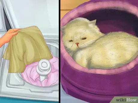 Image titled Treat Behavior Problems in Older Cats Step 8