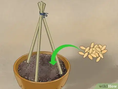 Image titled Grow Cucumbers in Pots Step 8