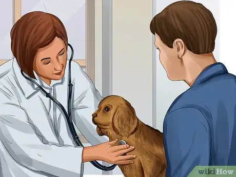 Image titled Tell if Your Dog Is Having a Medical Emergency Step 17