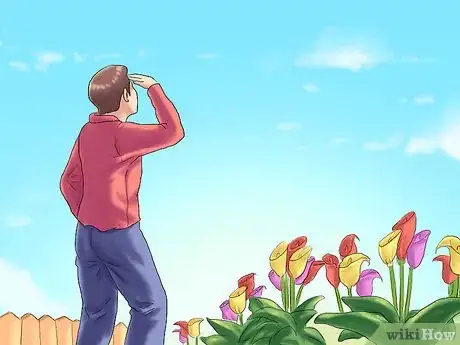 Image titled Winterize Calla Lily Bulbs Step 10