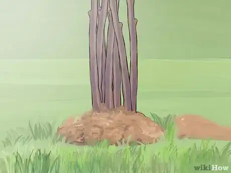 Image titled Prune Spirea Shrubs Step 15