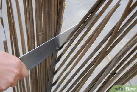 Image titled Make a Broom Using a Coconut Leaf Step 3