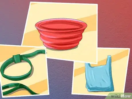 Image titled Take Your Dog to the Beach Step 3