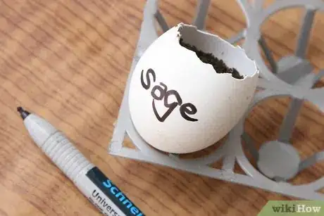 Image titled Recycle Eggshells in Gardening Activities Step 1Bullet5