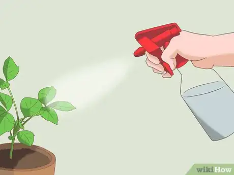 Image titled Take Care of Your Neighbor's Plants While They're Away Step 1Bullet4