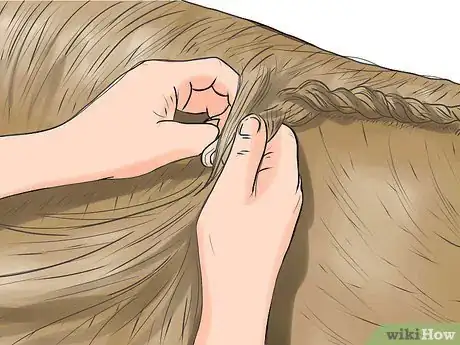 Image titled Prepare for a Horse Show Step 8