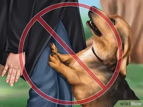 Image titled Set Ground Rules for Your Dog Step 10