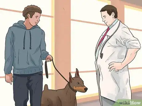 Image titled Treat Heart Conditions in Doberman Pinschers Step 10