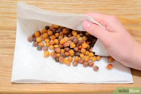 Image titled Cook Chickpeas Step 16