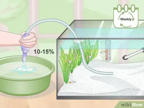 Image titled Prevent Fish From Getting Sick Step 3