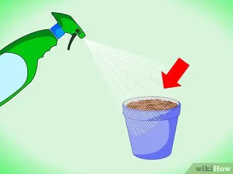 Image titled Grow_Cultivate Coffee Step 4