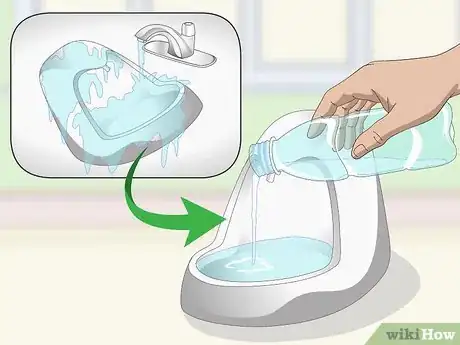 Image titled Prevent Stones in Cats Step 2