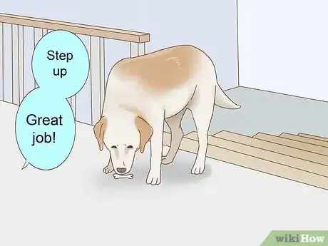 Image titled Train a Blind Dog to Handle the Stairs Step 11