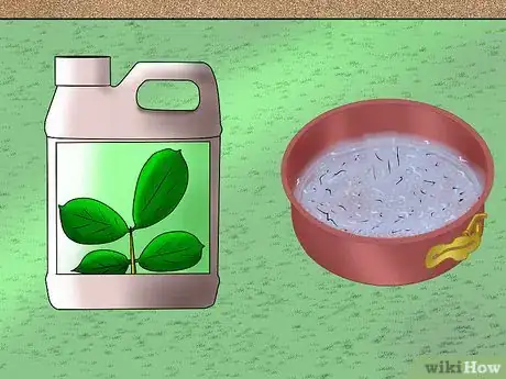 Image titled Start a Homemade Hydroponic Garden Step 12