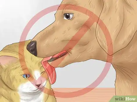 Image titled Choose Between Oral and Topical Flea Preventatives Step 9