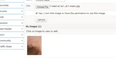 Image titled Upload an Image to Fanfiction.net step 11.png