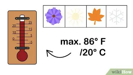Image titled Grow Alstroemeria Step 1