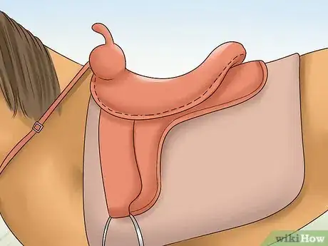 Image titled Care for a Gaited Horse Step 1