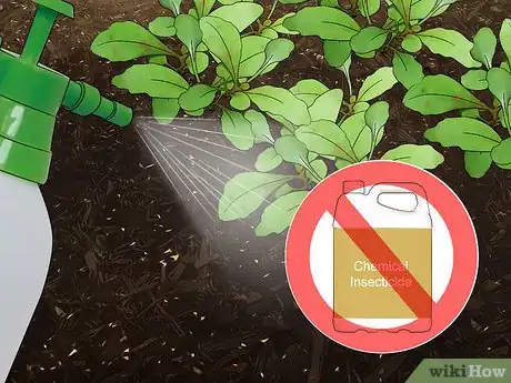 Image titled Attract Assassin Bugs Step 4