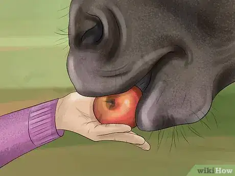 Image titled Make a Horse Move Forward Step 15