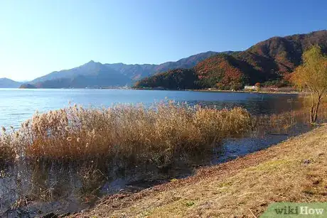 Image titled Pack a Suitcase for a 7 Day Holiday Abroad Step 9