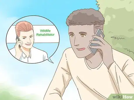 Image titled Help a Fallen Fledgling Step 8