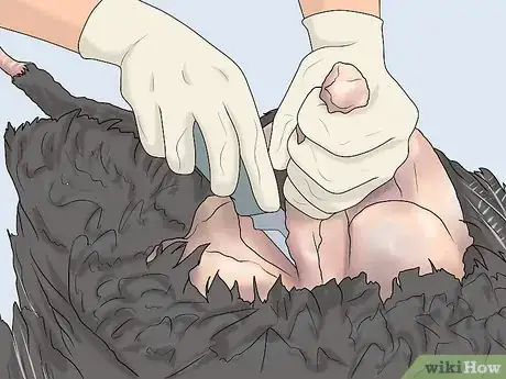 Image titled Dress a Turkey Step 10